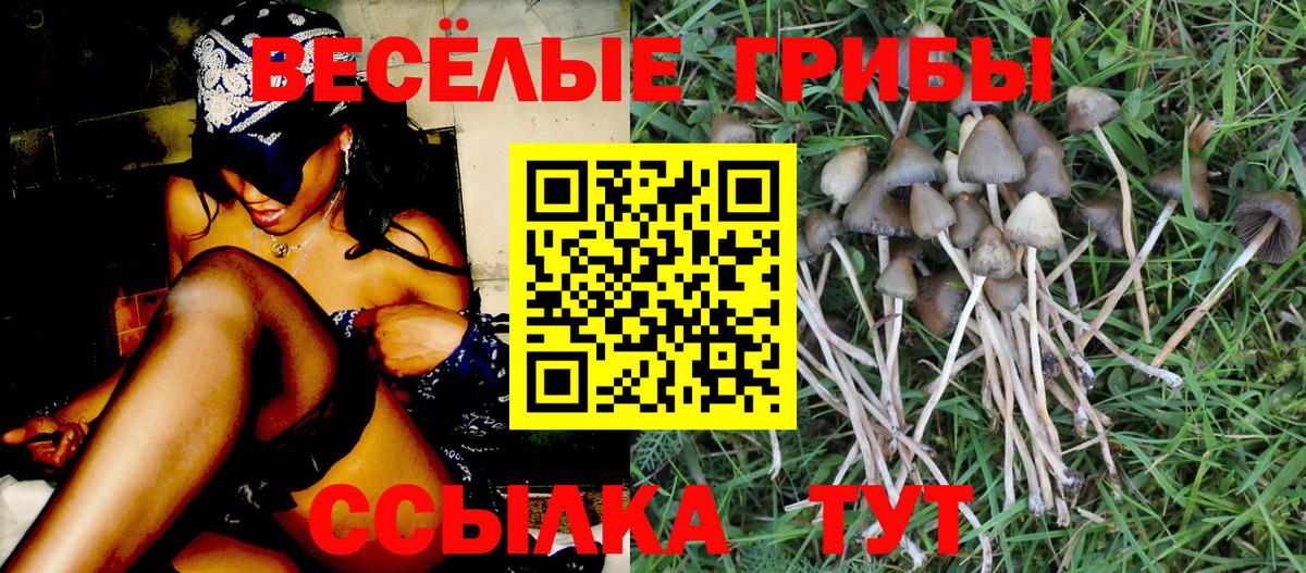 где найти   Вход с VPN  Ярцево  Псилоцибиновые грибы Magic Shrooms 