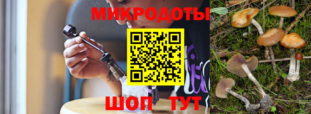 Псилоцибиновые грибы мицелий Ярцево